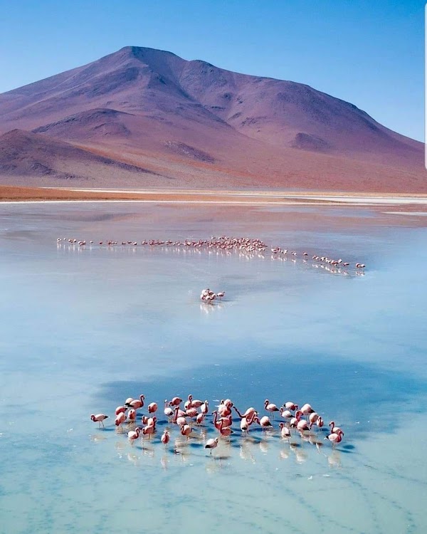 South America 25
