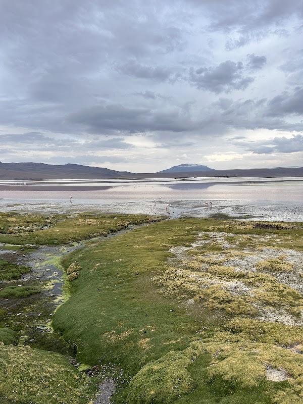 Laguna Colorada 3