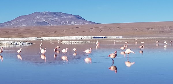 Laguna Colorada 2