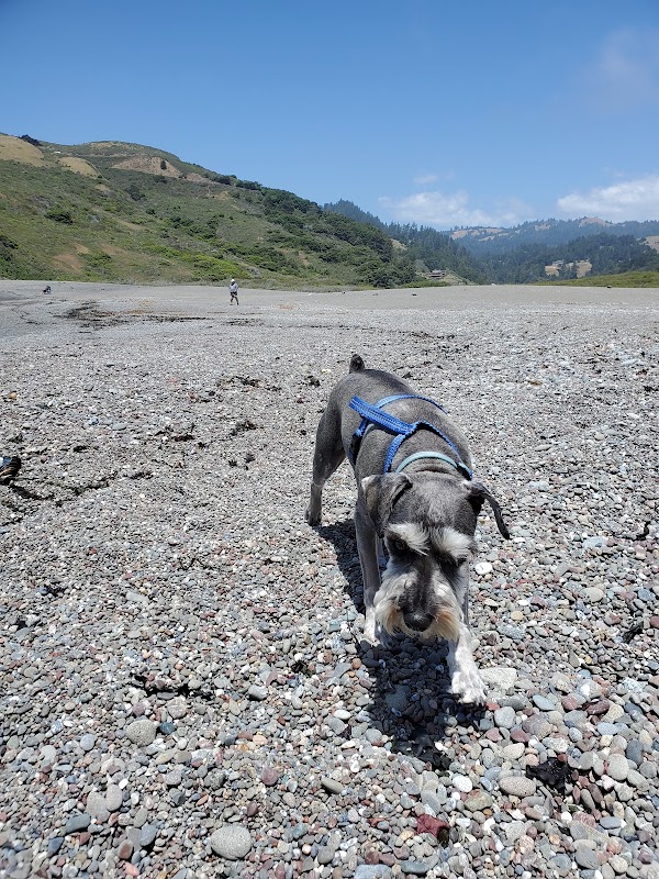 Russian Gulch State Beach 2