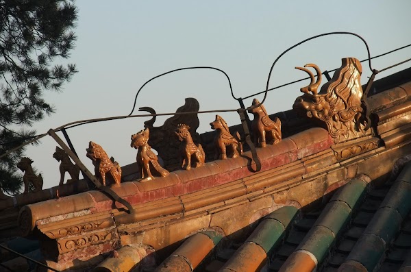 Hua Zhongyou 3