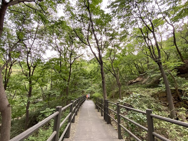 Ansan Jarak-gil Trail 5
