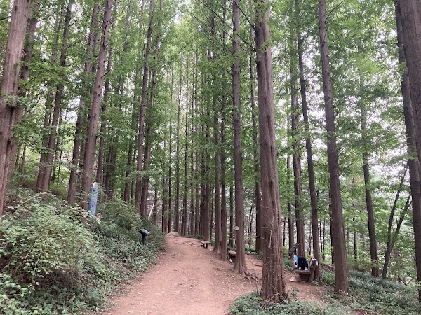Ansan Jarak-gil Trail 2