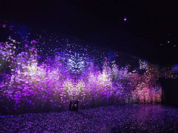 Arte Museum Valley Gangneung 1