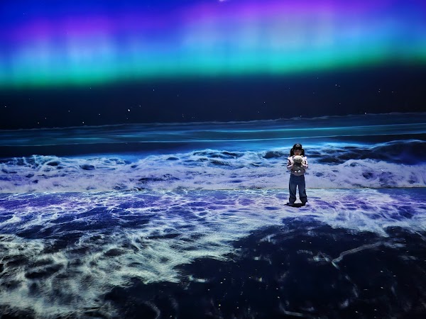 Arte Museum Valley Gangneung 5