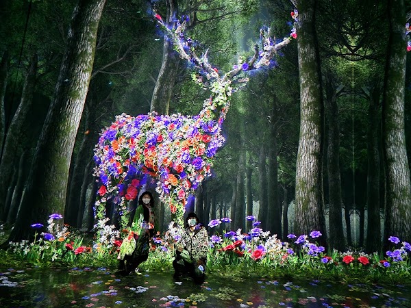 Arte Museum Valley Gangneung 4