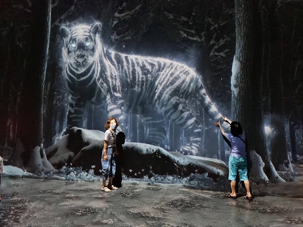 Arte Museum Valley Gangneung 2