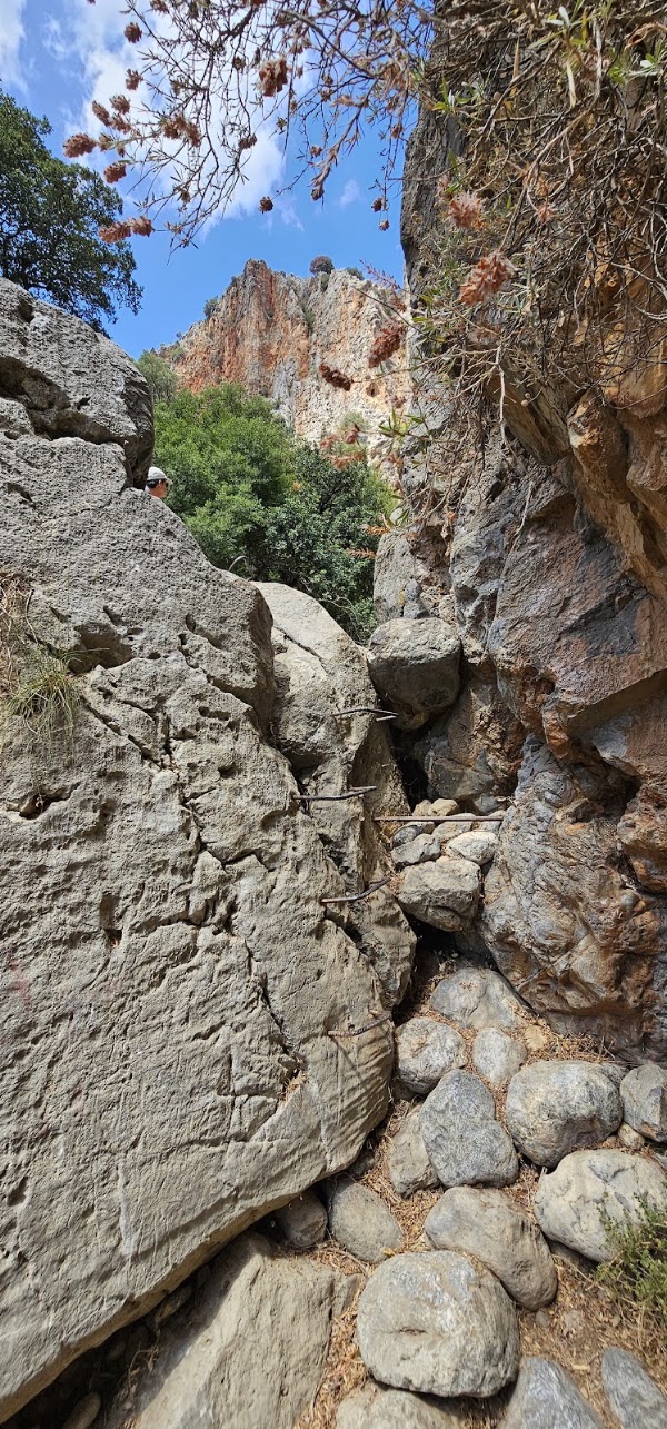 Kritsa Gorge 5