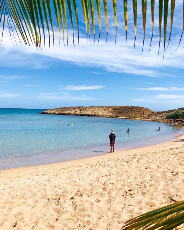 Playa Jobos 3