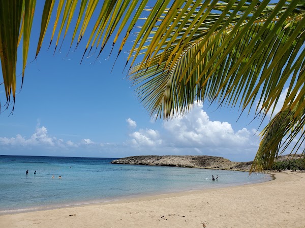 Playa Jobos 2