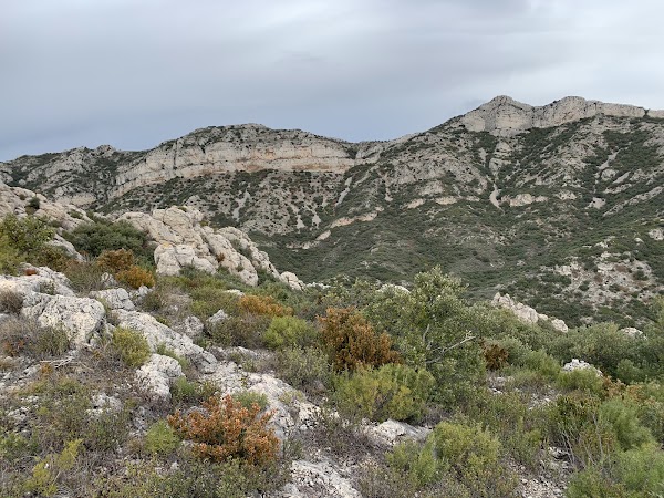 Alpilles 1