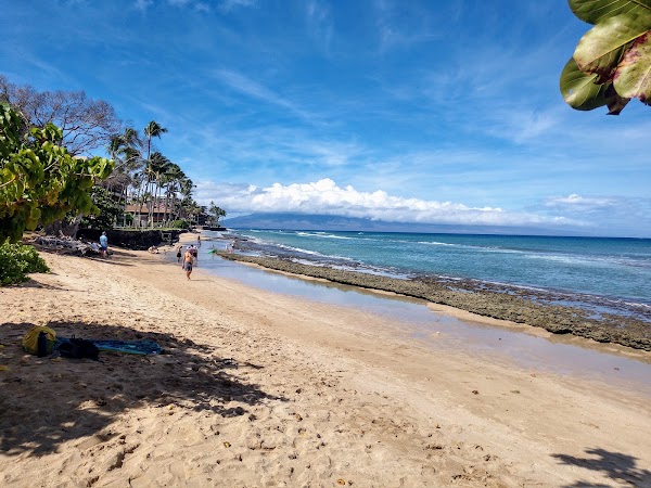 Honokōwai Beach Park 1