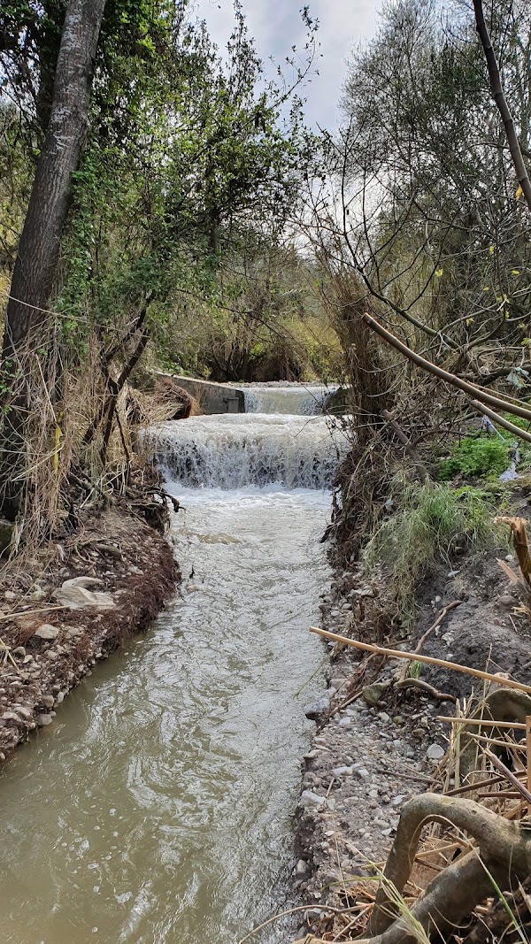 Nahal HaShofet 1