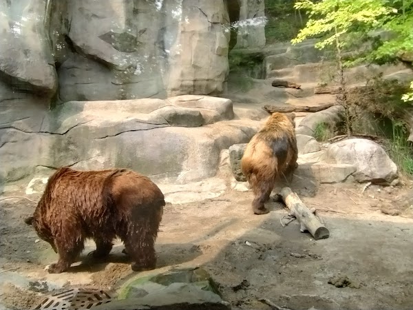 John Ball Zoo 1
