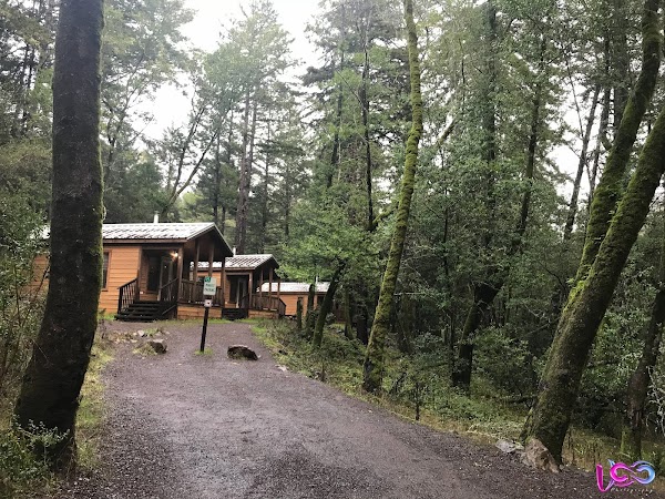Madrone Cabin Area 4