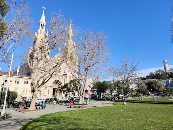 Washington Square 5