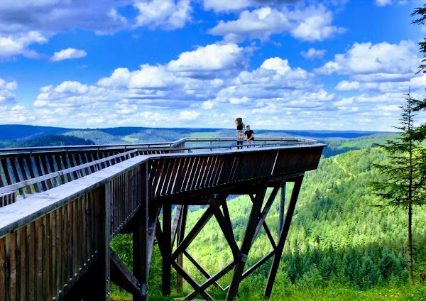Aussichtsplattform Ellbachseeblick