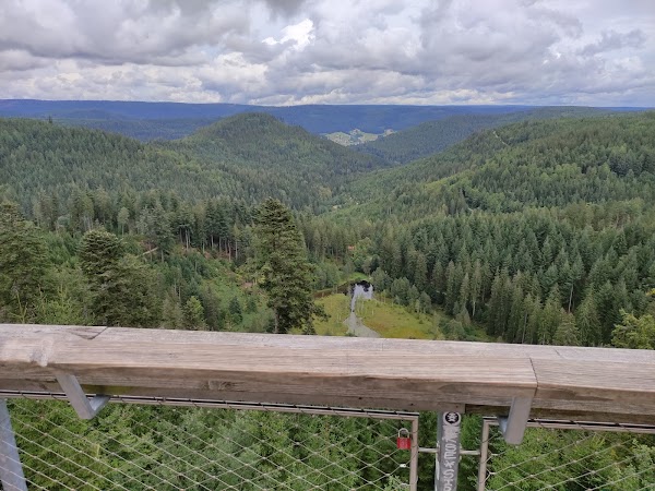 Aussichtsplattform Ellbachseeblick 5