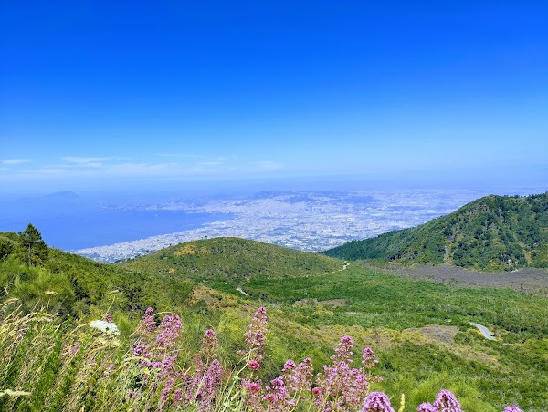 Vesuvio National Park 4