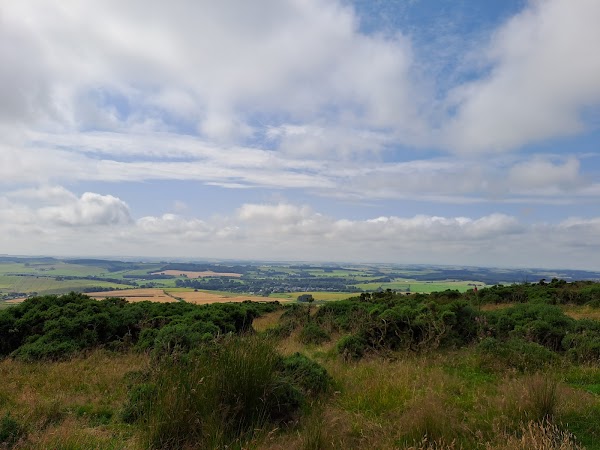 Mormond Hill White Stag 1