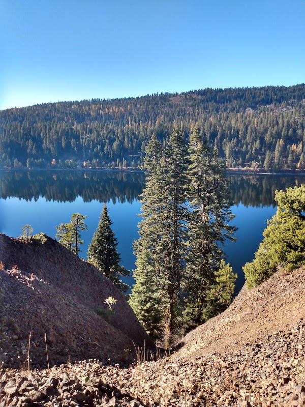 McCall 1