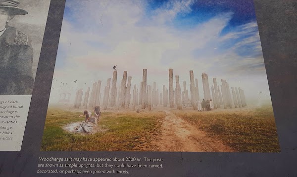 Woodhenge 5