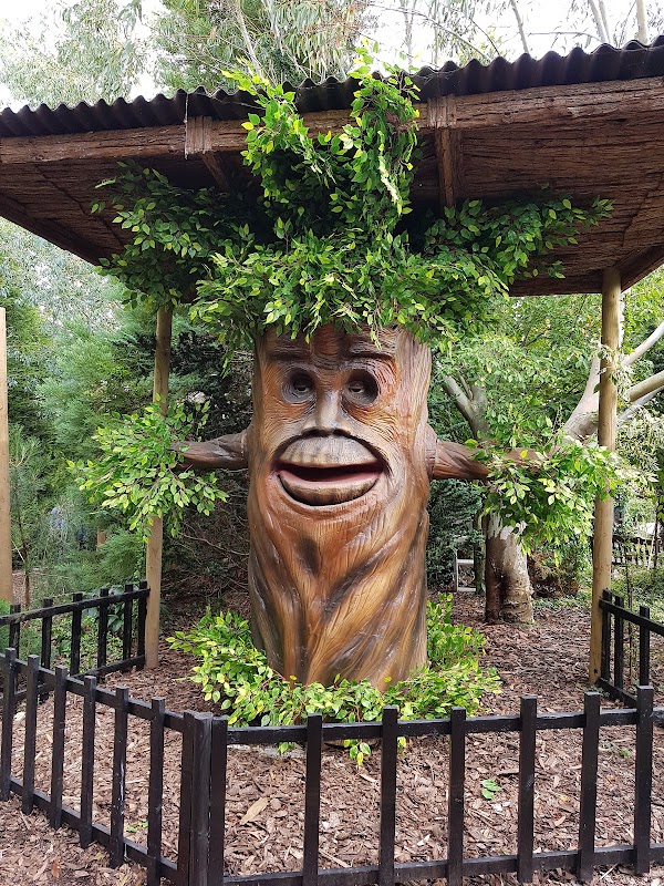 Ralph Court Gardens 5