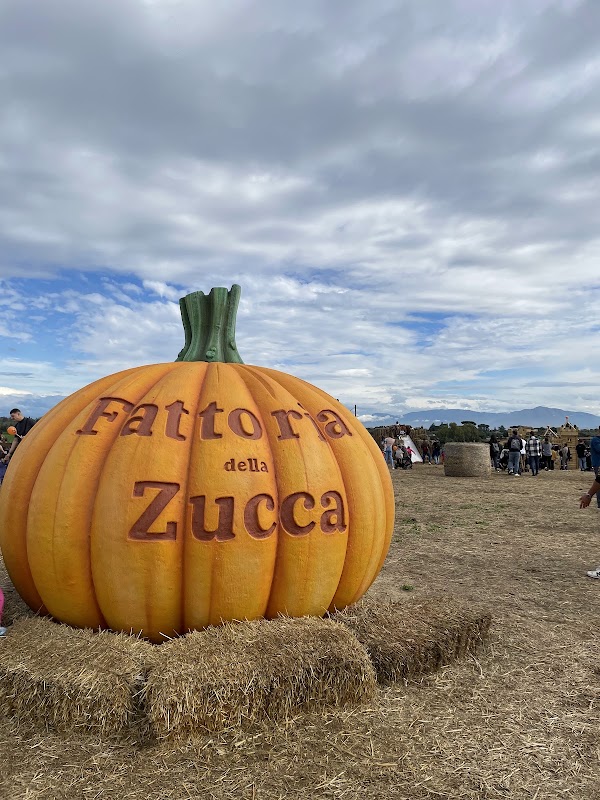 Fattoria della Zucca e di Primavera