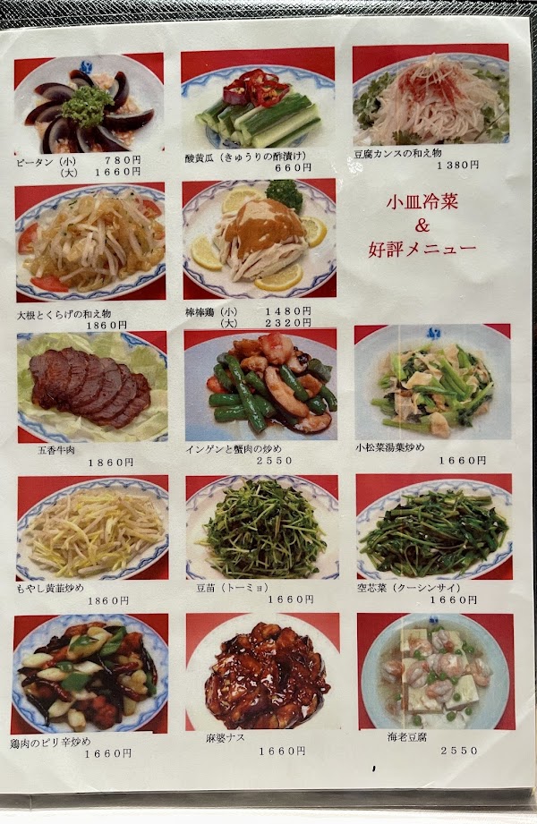 Yosuko Saikan 2