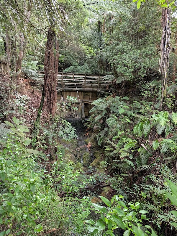 Department of Conservation - Kauaeranga Visitor Centre 1