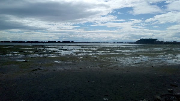 Southshore Red Zone 2