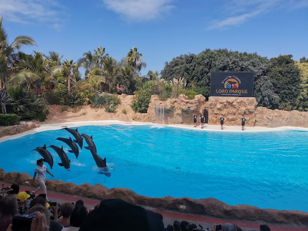Loro Park 5