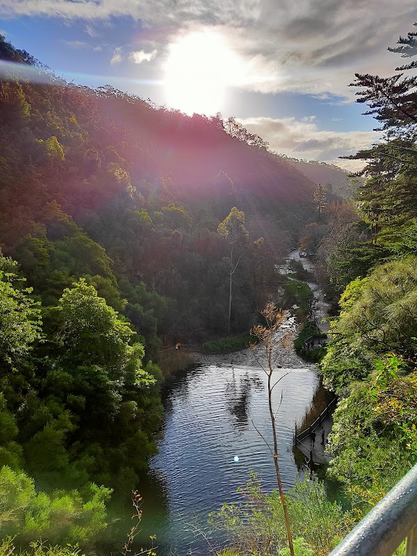 Waterfall Gully 1