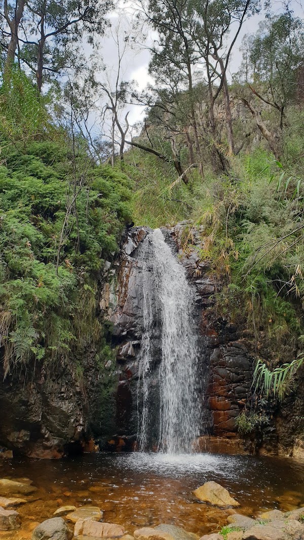 Waterfall Gully 5