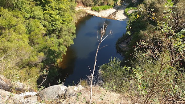 Waterfall Gully 4