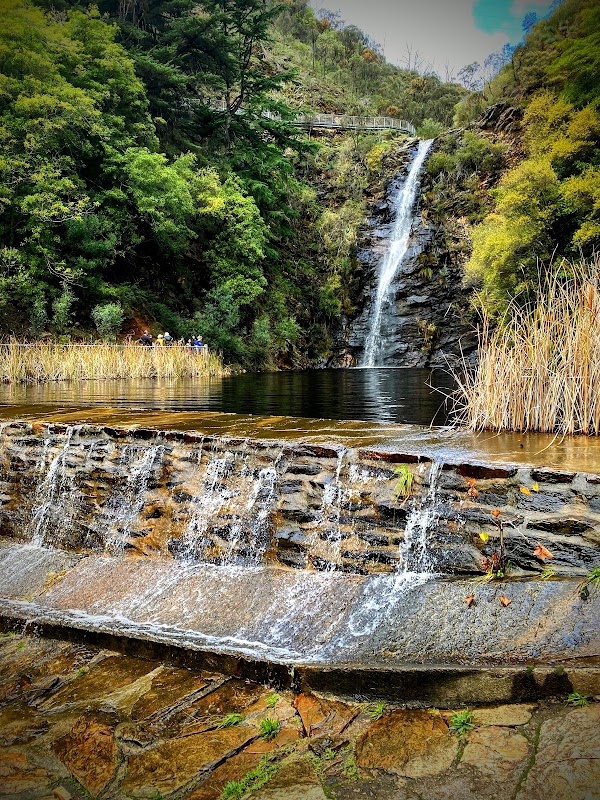 Waterfall Gully 3