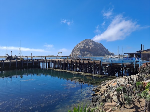 Morro Bay T Pier (Otter Viewing Area)