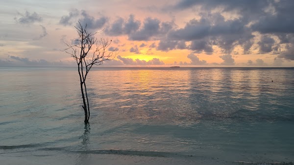 Dhiffushi Bikini Beach 4