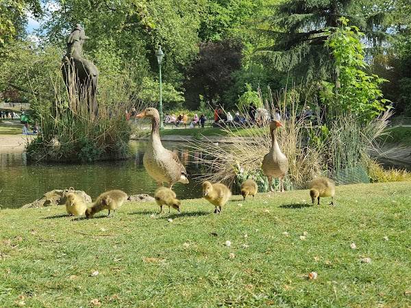 Square des Batignolles 2