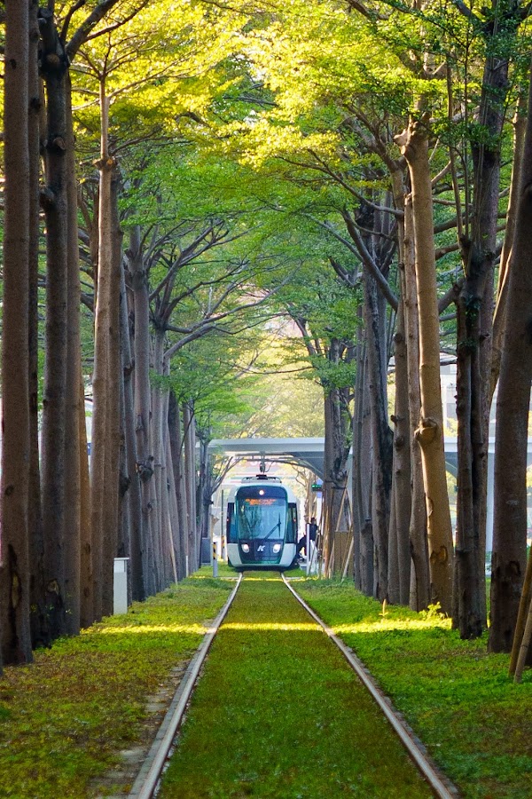 Kaohsiung LRT Green Tunnel