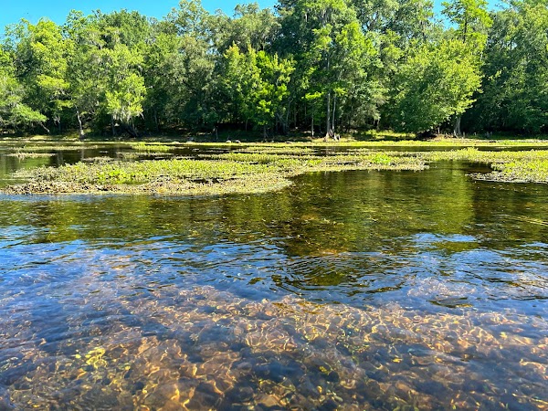 Santa Fe River 1