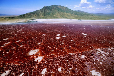 Lake Natron 1