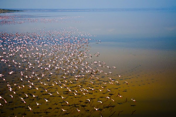 Lake Natron 4