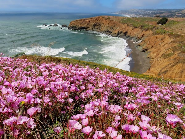 Mori Point 3