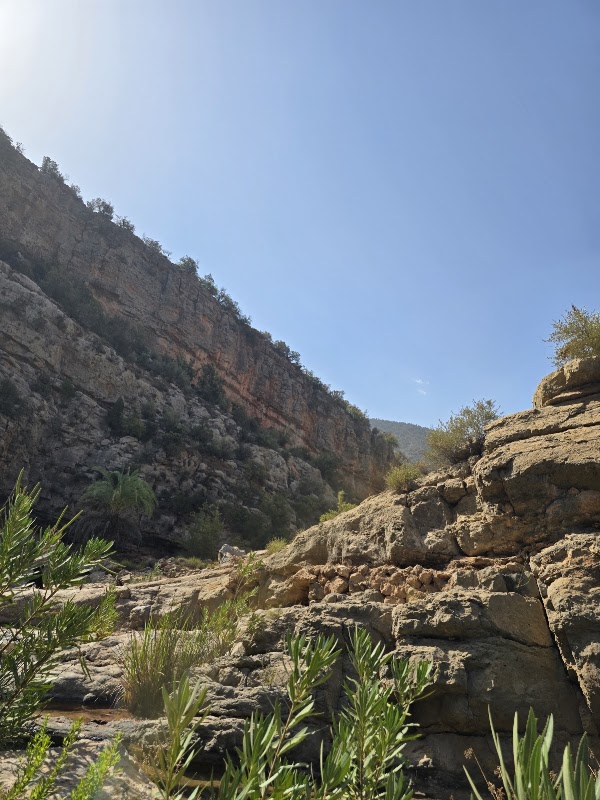 Paradise Valley 4