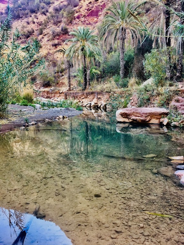Paradise Valley 2