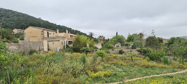 Randa