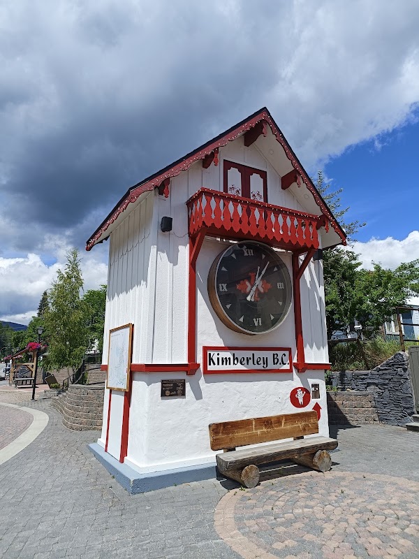 Happy Hans Worlds Largest Cuckoo Clock 1