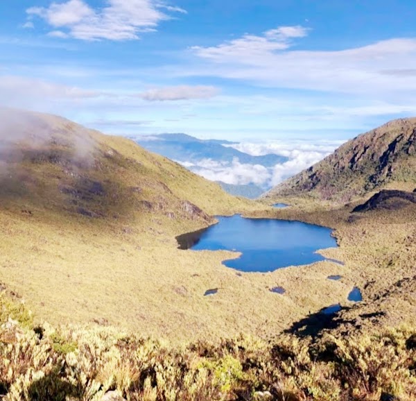 Cerro Chirripó