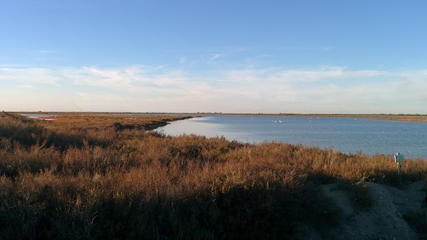 Étang du Fangassier 4